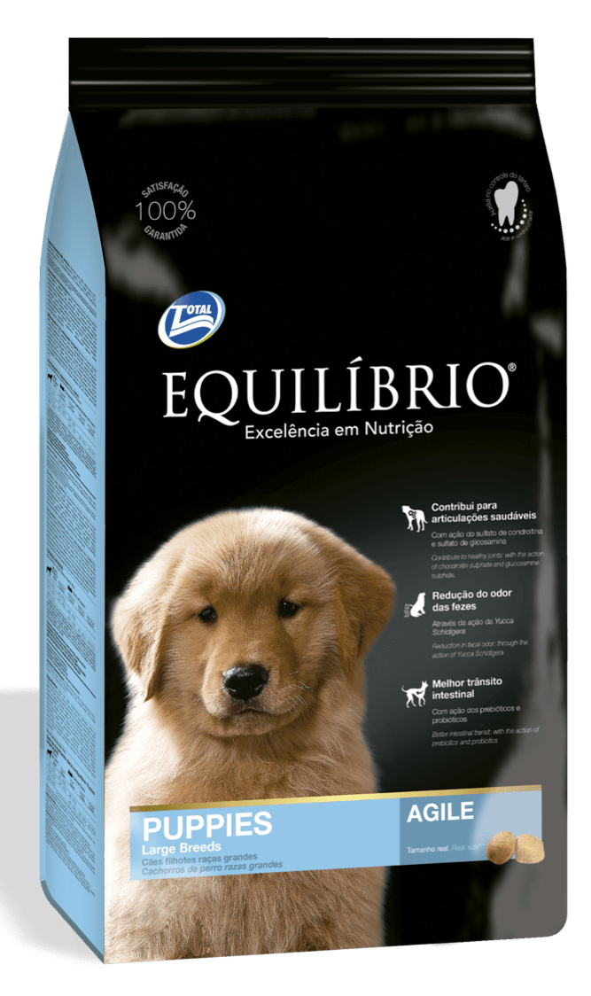 equilibrio puppies large breeds